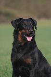 BEAUCERON 1023